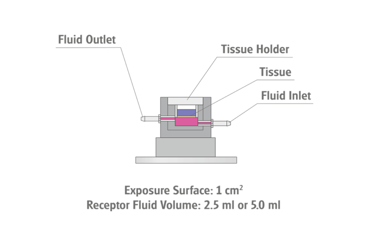 skin module illustration