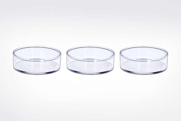 35-mm-petri-dishes-about-1