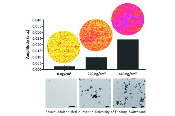 240429 calorquanti flow chart