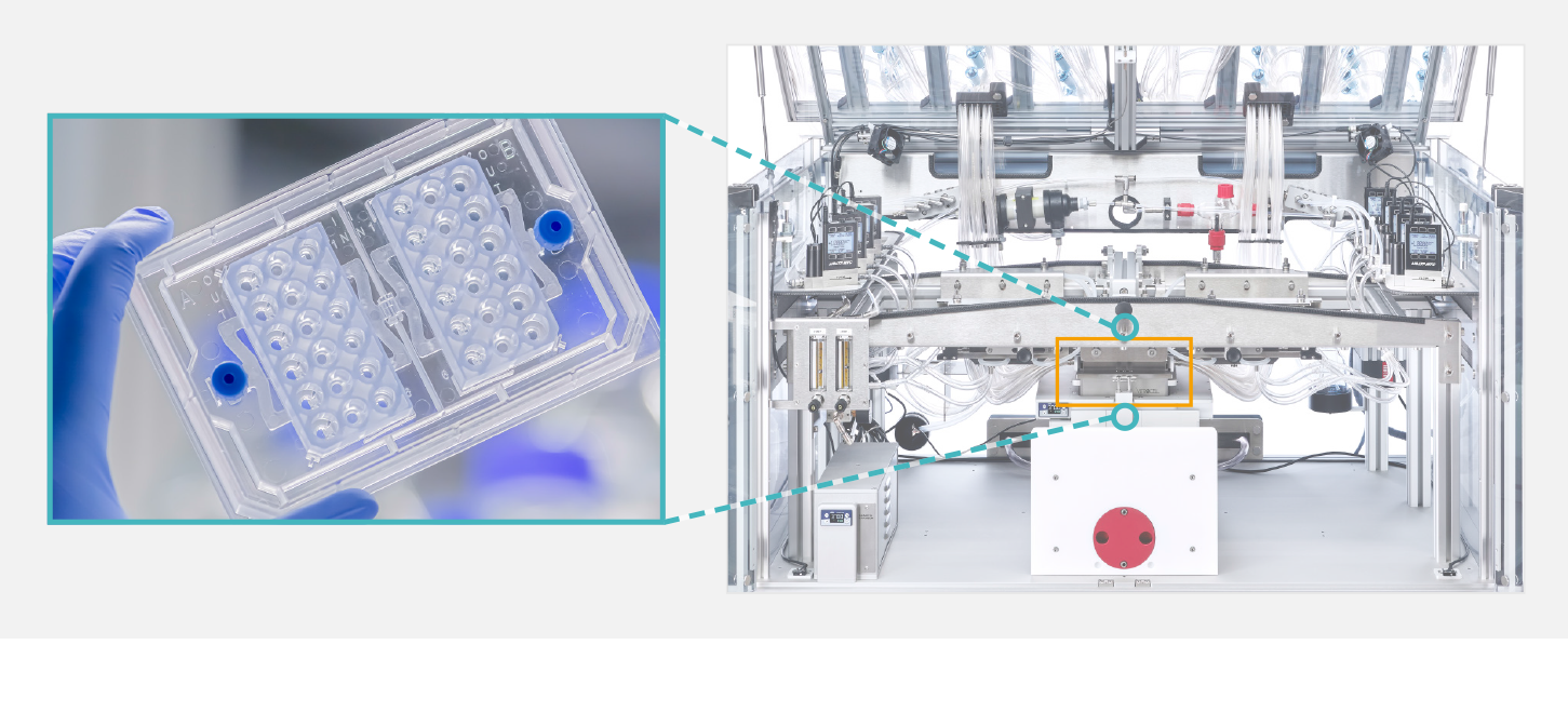 exposure system housed climatic chamber
